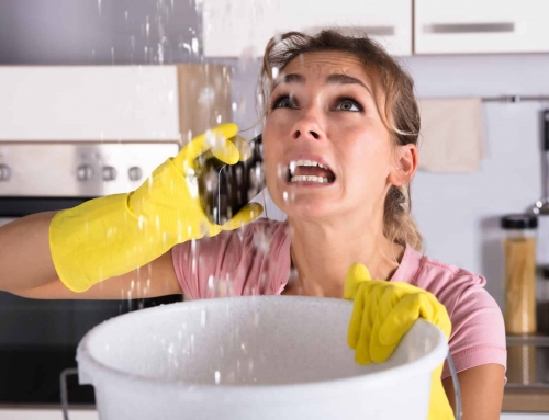Top 5 Water Damage Prevention Tips – Act Now