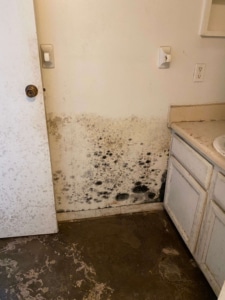 Mold inspection and testing Gahanna