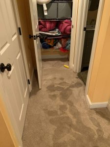 Flood Damage To basement Carpet