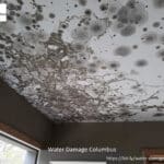 Mold remediation on drywall ceiling