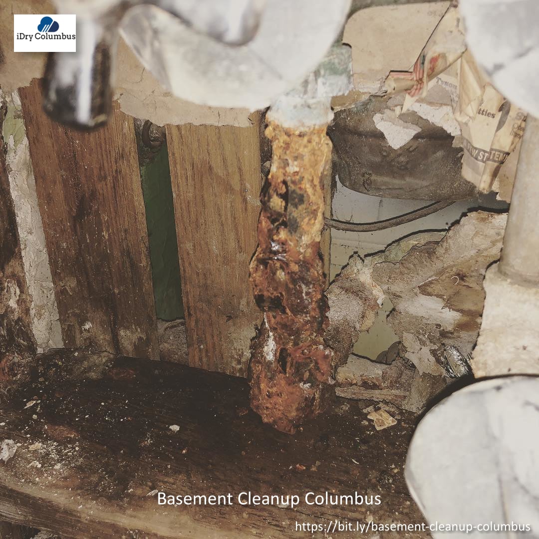 Idry Columbus Water Damage Cleanup (m3b) (gmb) 1