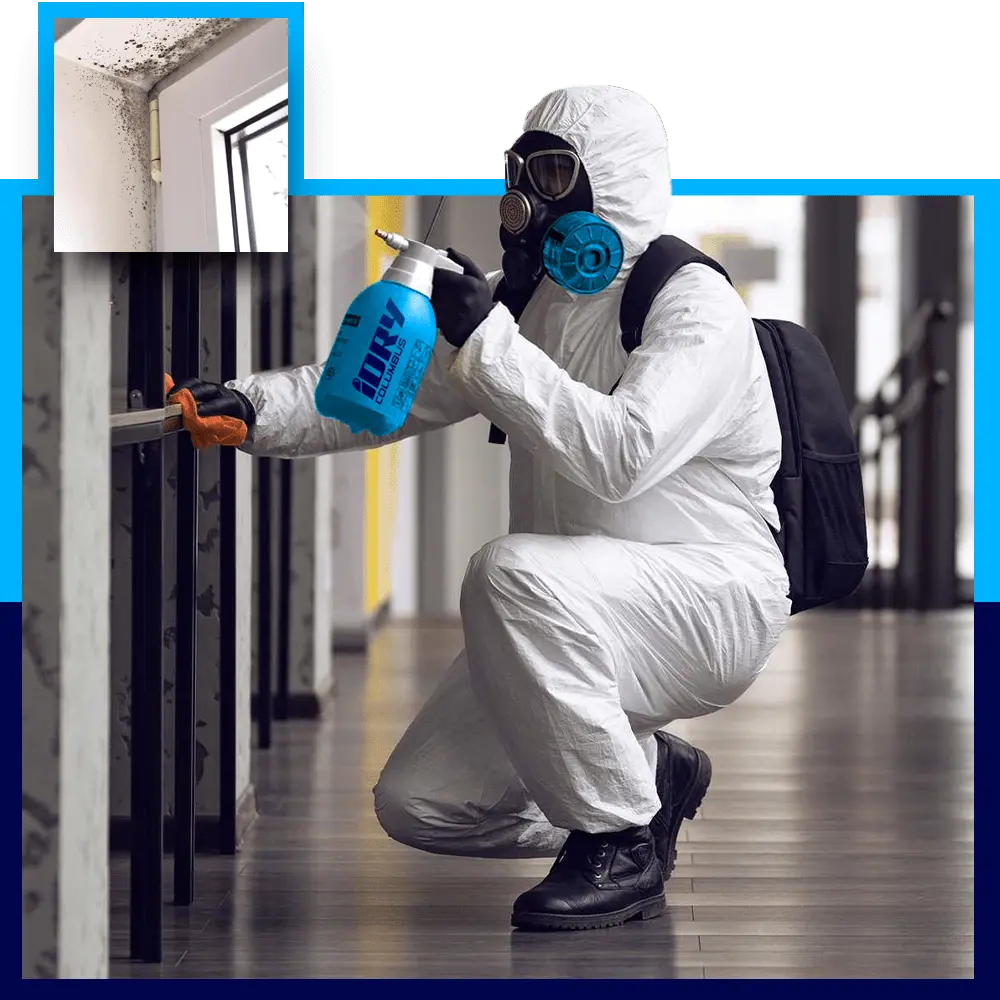 Mold Removal Services in Worthington, Ohio 8