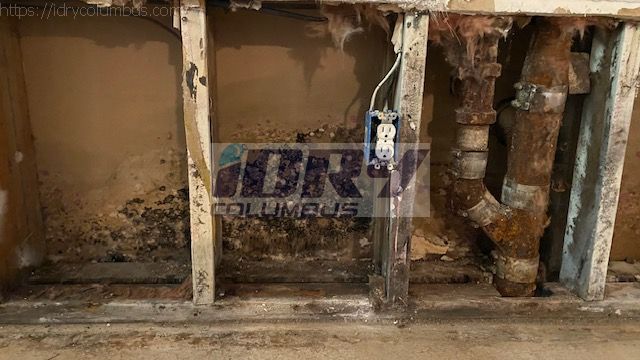 mold growth due to leaking pipe - iDry Columbus