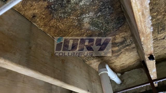 water damage due to leaking dishwasher, mold discovered on subfloor - iDry Columbus