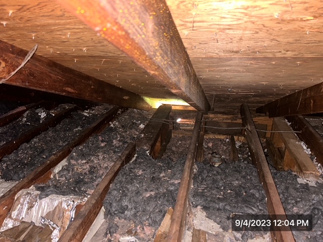 animal, vermin, rodent, racoon damages attic space. Nesting in attic space leaving behind feces and animal urine - iDry Columbus