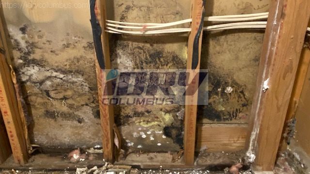 mold cleanup -of drywall demolition found hidden mold growth behind walls. - iDry Columbus