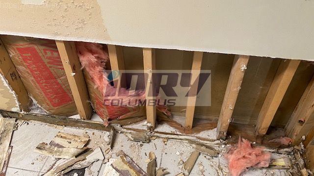 microbial growth and water damaged insulation leads to drywall removal - iDry Columbus