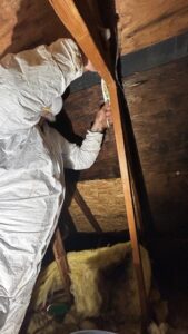 mold removal from an residential attic space.
