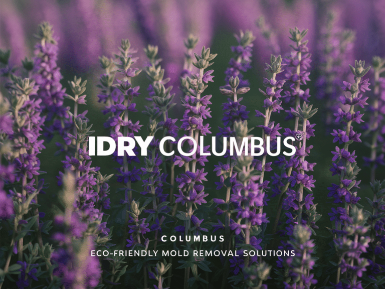 image of thyme in a field with the words iDry Columbus and eco-friendly mold removal services imposed in white.
