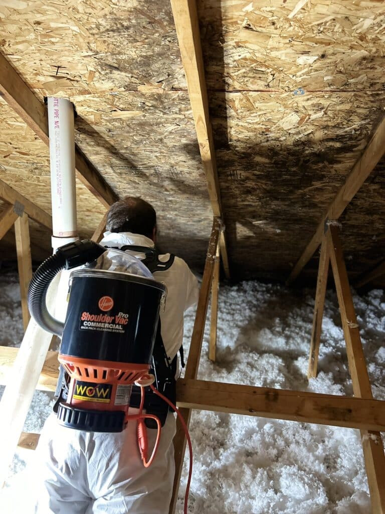 advanced attic mold removal columbus