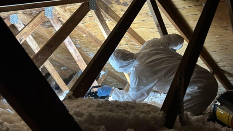 Professional inspecting mold growth in an attic in Columbus, utilizing safety gear amidst wooden framing and insulation.