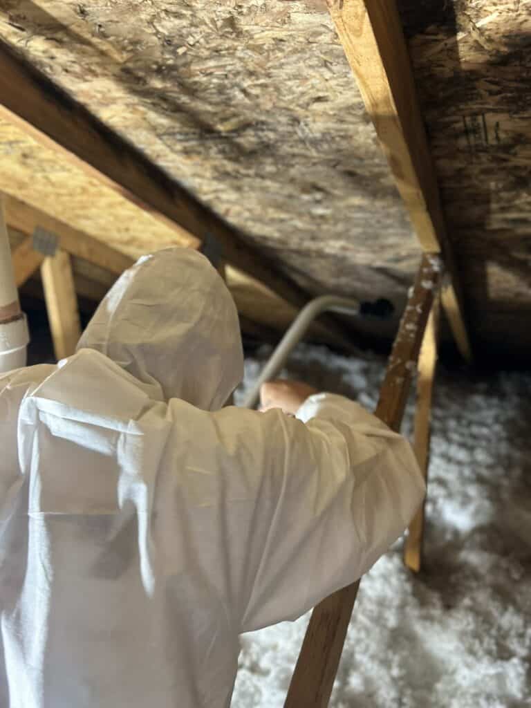 attic mold treatment columbus